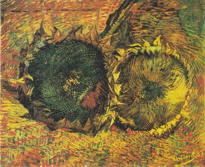 Sunflowers8